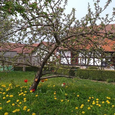 Pension Toepferhof Бад-Берка Экстерьер фото