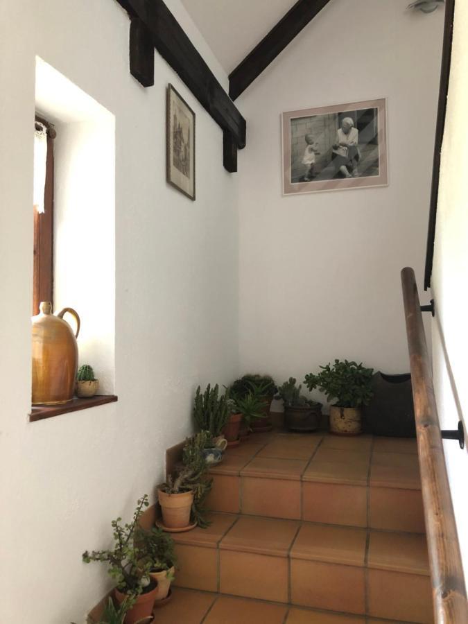 Pension Toepferhof Бад-Берка Экстерьер фото