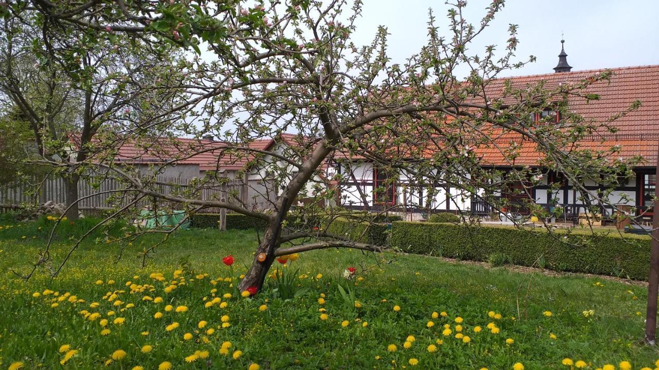 Pension Toepferhof Бад-Берка Экстерьер фото