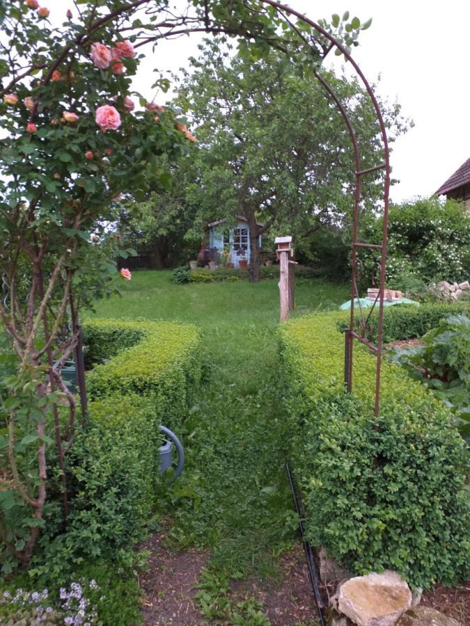 Pension Toepferhof Бад-Берка Экстерьер фото